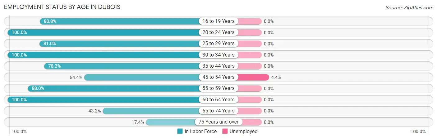 Employment Status by Age in Dubois