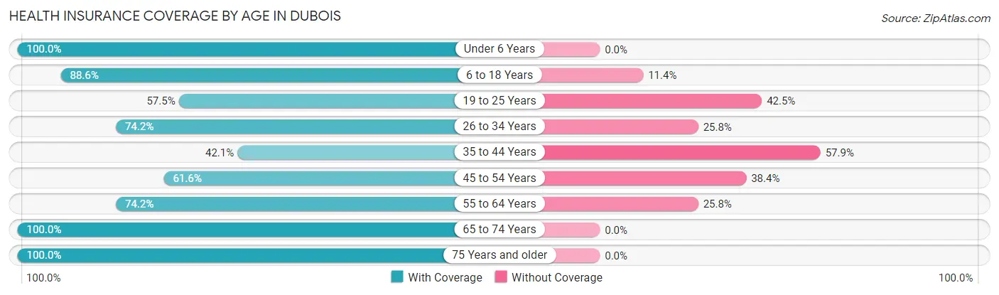 Health Insurance Coverage by Age in Dubois