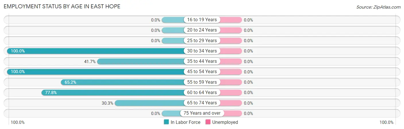 Employment Status by Age in East Hope