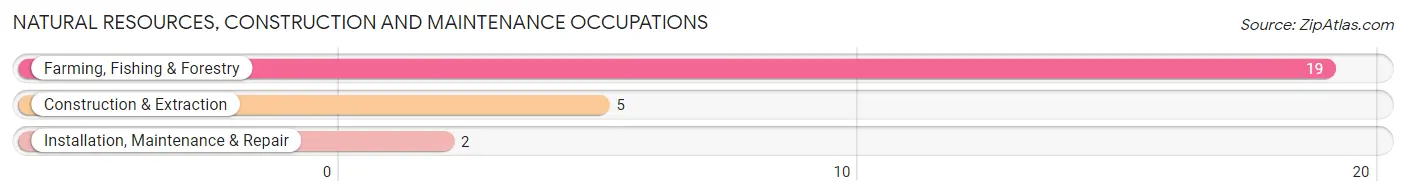 Natural Resources, Construction and Maintenance Occupations in Eden