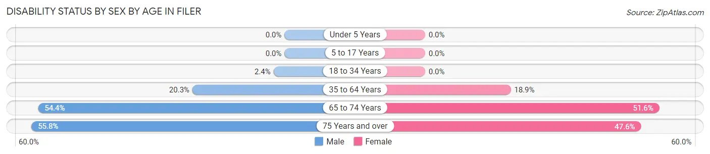 Disability Status by Sex by Age in Filer
