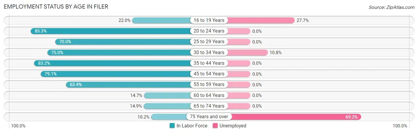 Employment Status by Age in Filer
