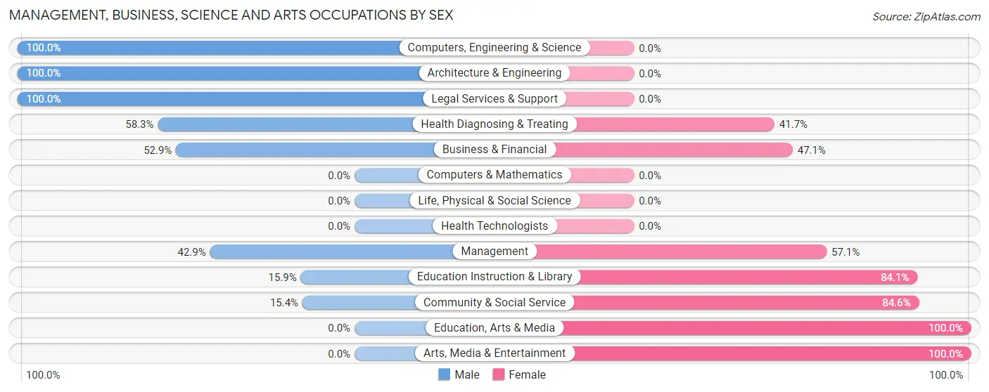 Management, Business, Science and Arts Occupations by Sex in Filer
