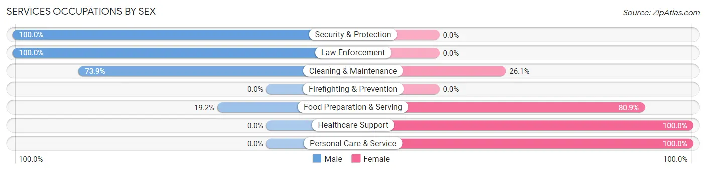 Services Occupations by Sex in Filer