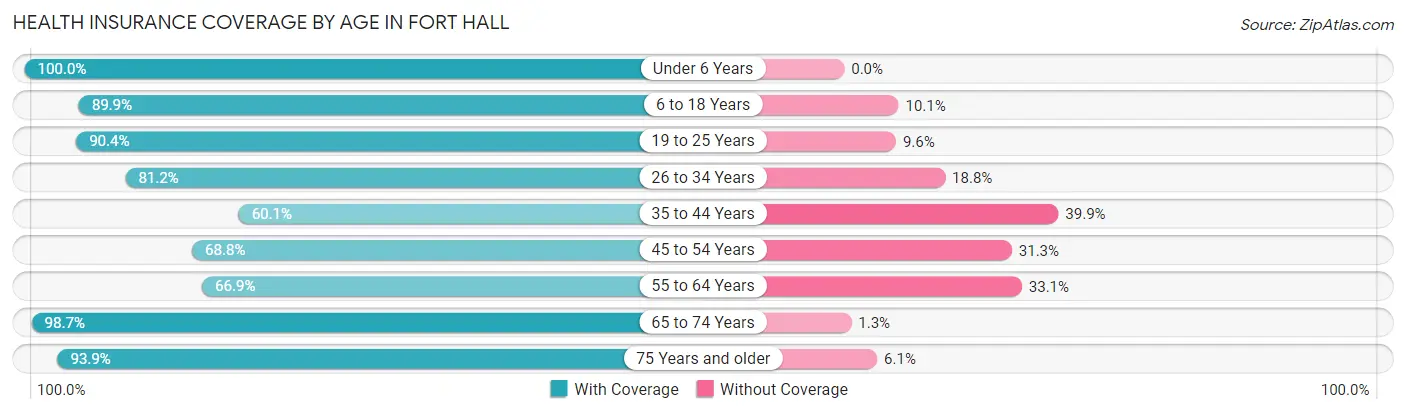 Health Insurance Coverage by Age in Fort Hall