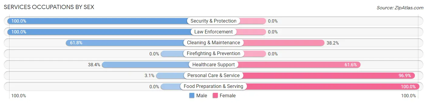 Services Occupations by Sex in Fruitland