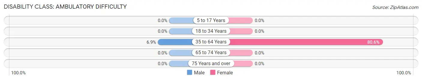 Disability in Gannett: <span>Ambulatory Difficulty</span>