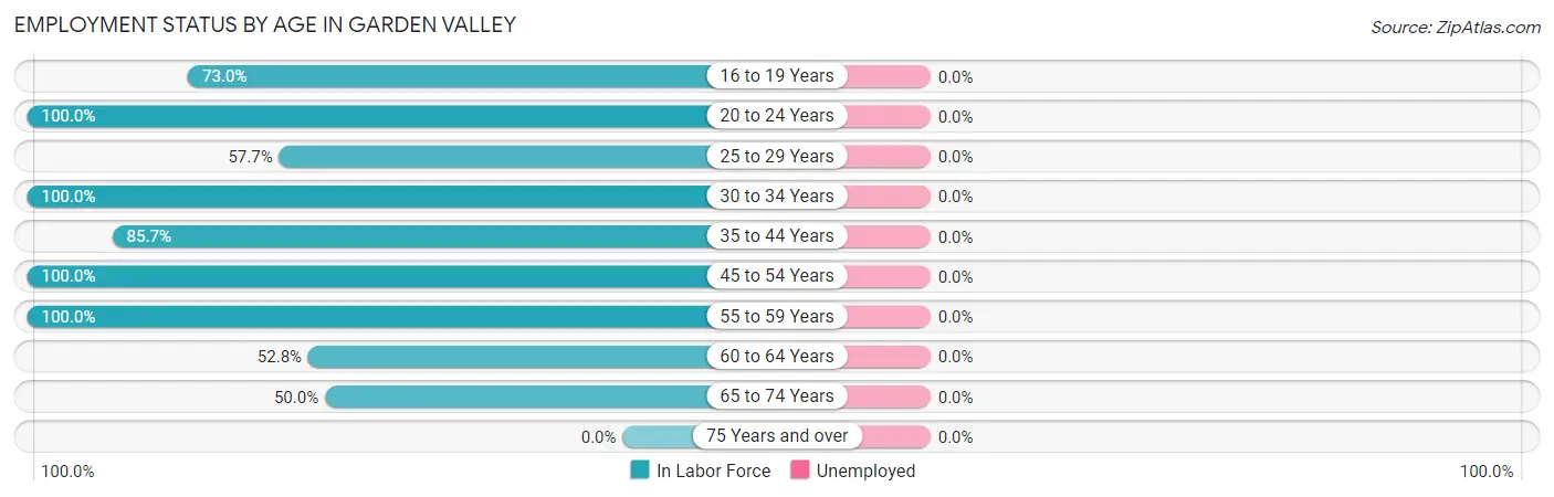 Employment Status by Age in Garden Valley