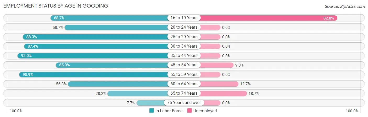 Employment Status by Age in Gooding