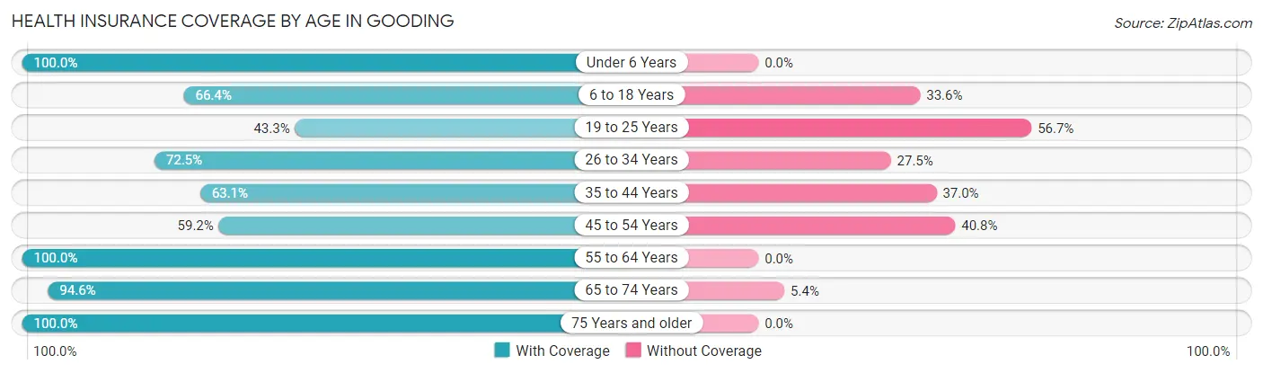 Health Insurance Coverage by Age in Gooding