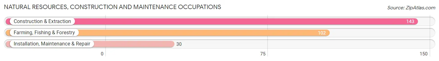 Natural Resources, Construction and Maintenance Occupations in Grace