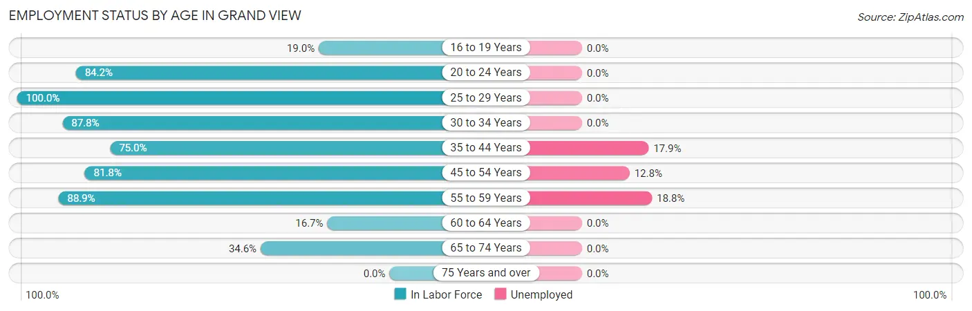 Employment Status by Age in Grand View