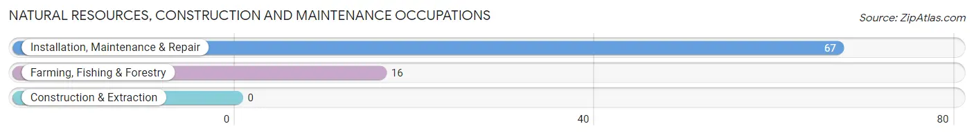 Natural Resources, Construction and Maintenance Occupations in Groveland