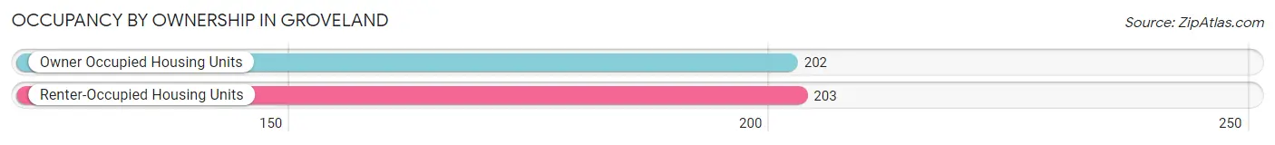 Occupancy by Ownership in Groveland