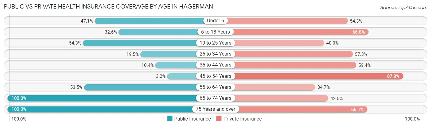 Public vs Private Health Insurance Coverage by Age in Hagerman
