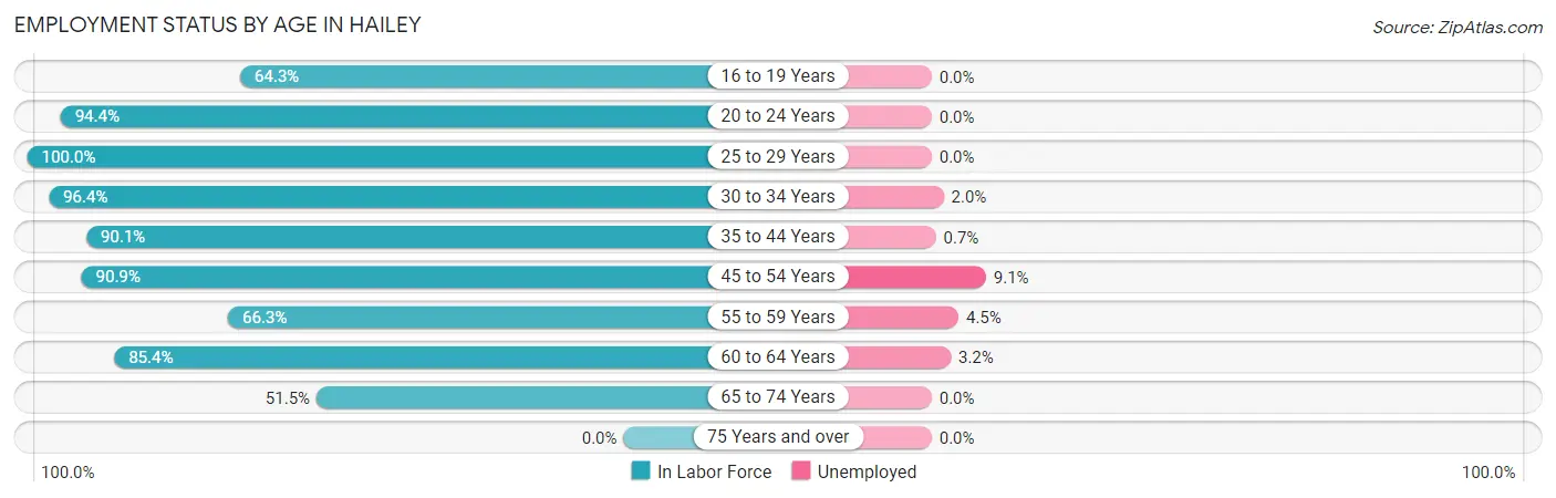 Employment Status by Age in Hailey
