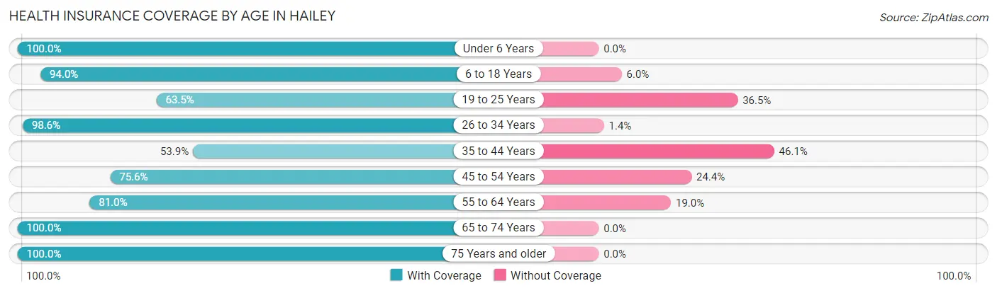 Health Insurance Coverage by Age in Hailey