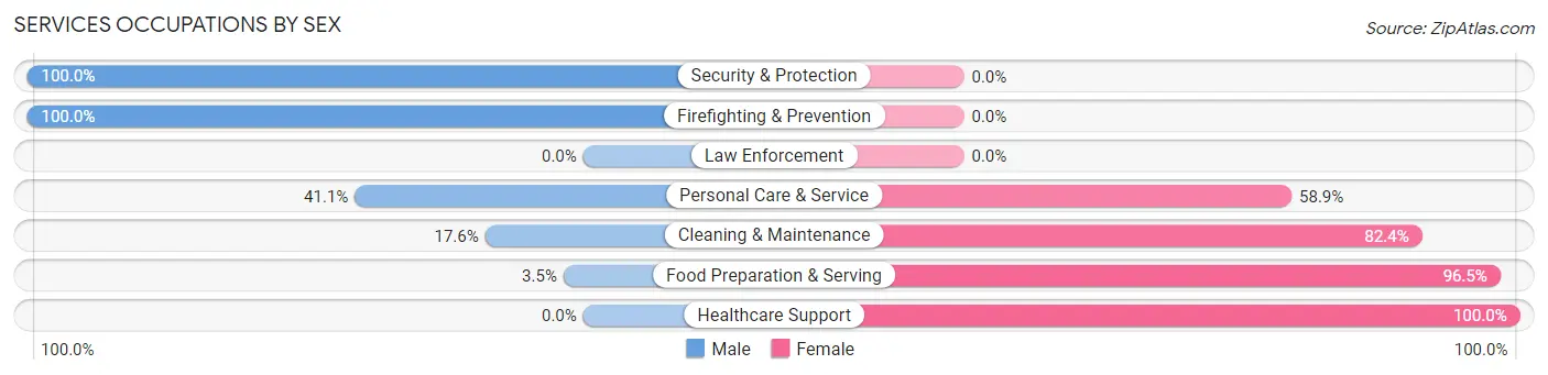 Services Occupations by Sex in Hailey