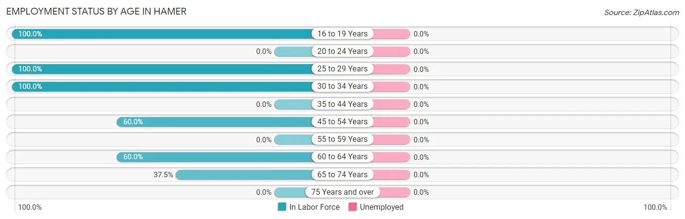 Employment Status by Age in Hamer
