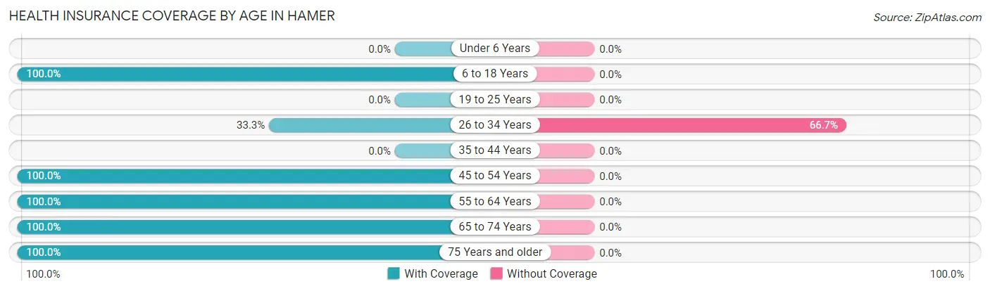 Health Insurance Coverage by Age in Hamer