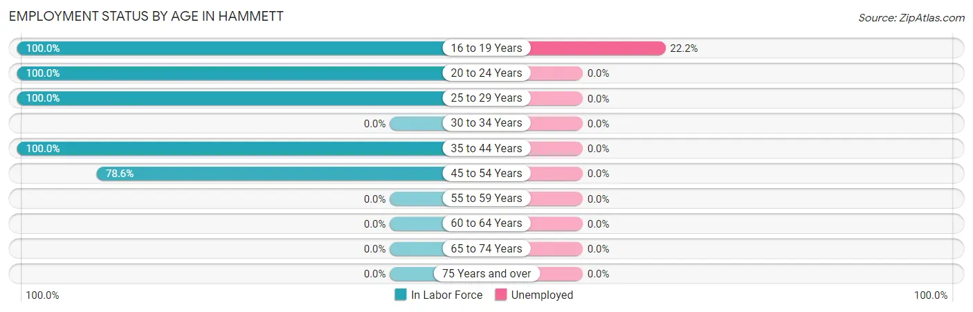 Employment Status by Age in Hammett