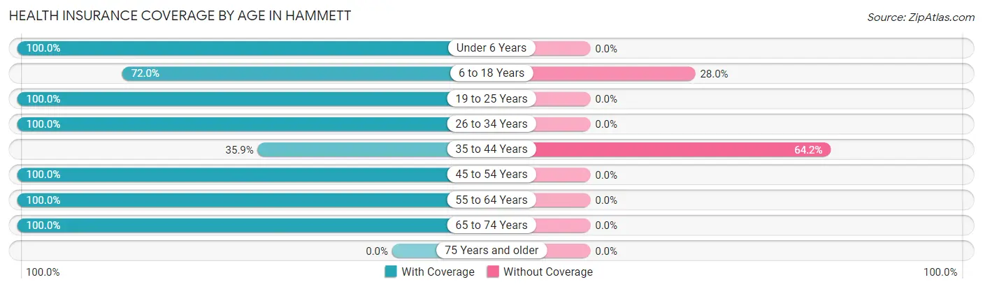 Health Insurance Coverage by Age in Hammett