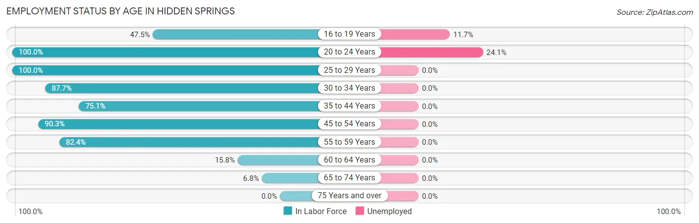 Employment Status by Age in Hidden Springs