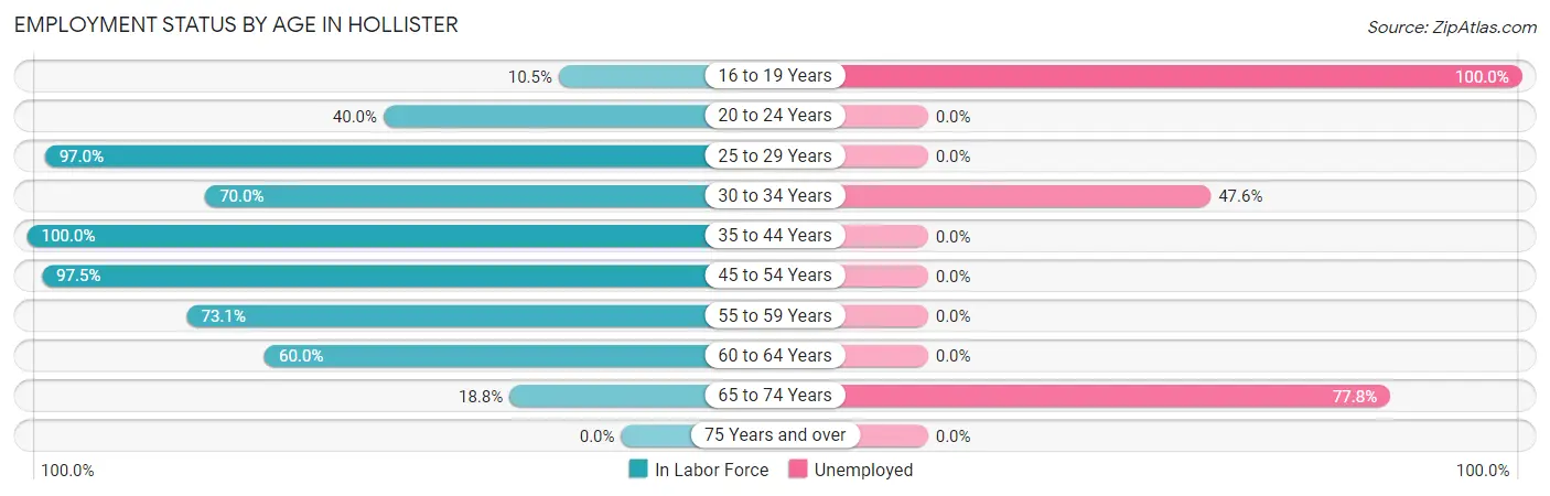 Employment Status by Age in Hollister