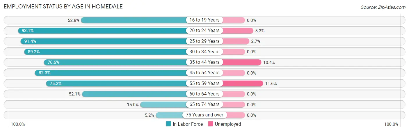 Employment Status by Age in Homedale