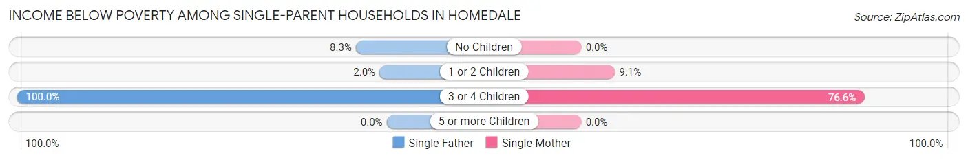Income Below Poverty Among Single-Parent Households in Homedale