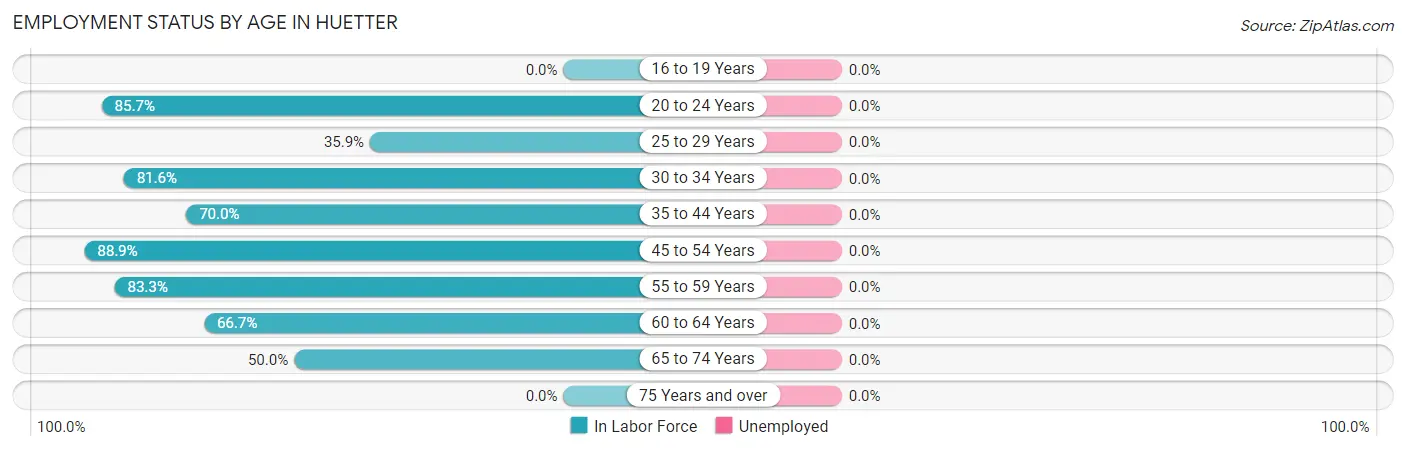 Employment Status by Age in Huetter
