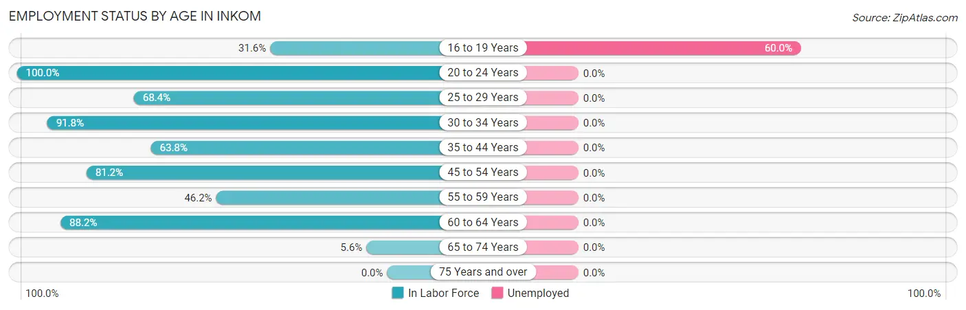 Employment Status by Age in Inkom