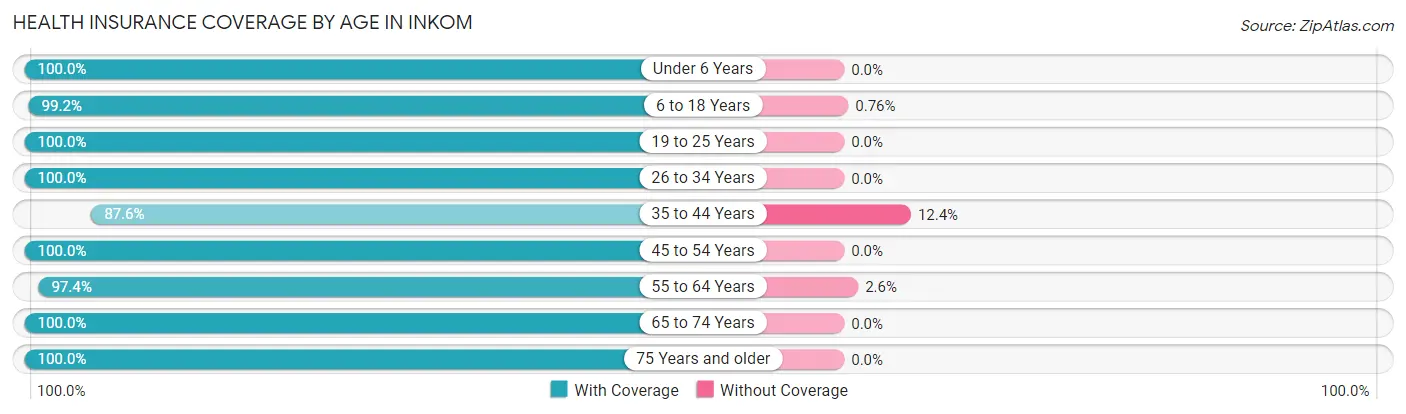 Health Insurance Coverage by Age in Inkom
