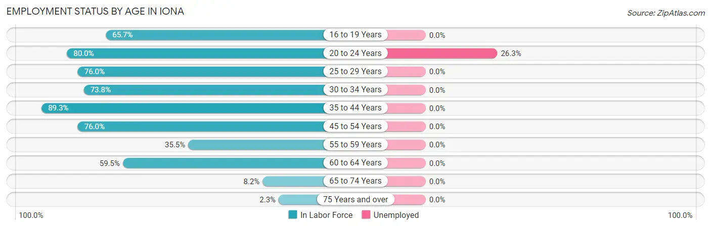 Employment Status by Age in Iona