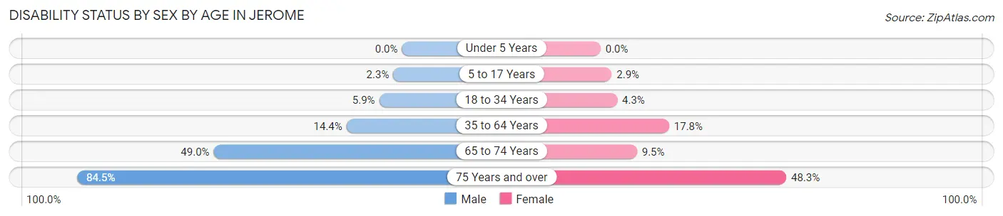 Disability Status by Sex by Age in Jerome