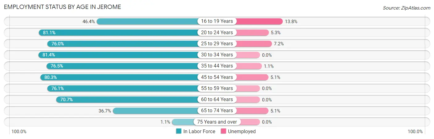 Employment Status by Age in Jerome