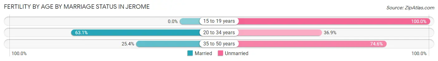 Female Fertility by Age by Marriage Status in Jerome