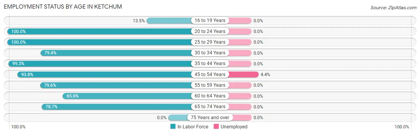 Employment Status by Age in Ketchum