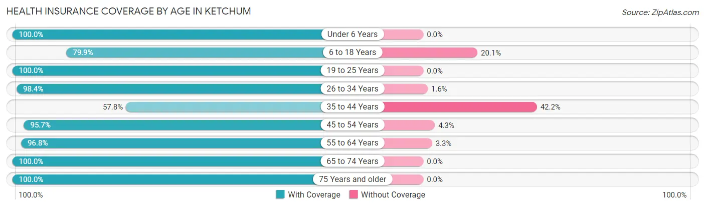 Health Insurance Coverage by Age in Ketchum