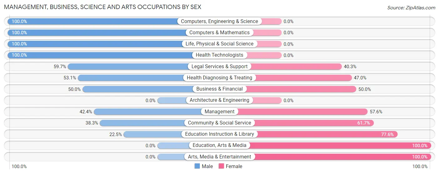 Management, Business, Science and Arts Occupations by Sex in Ketchum