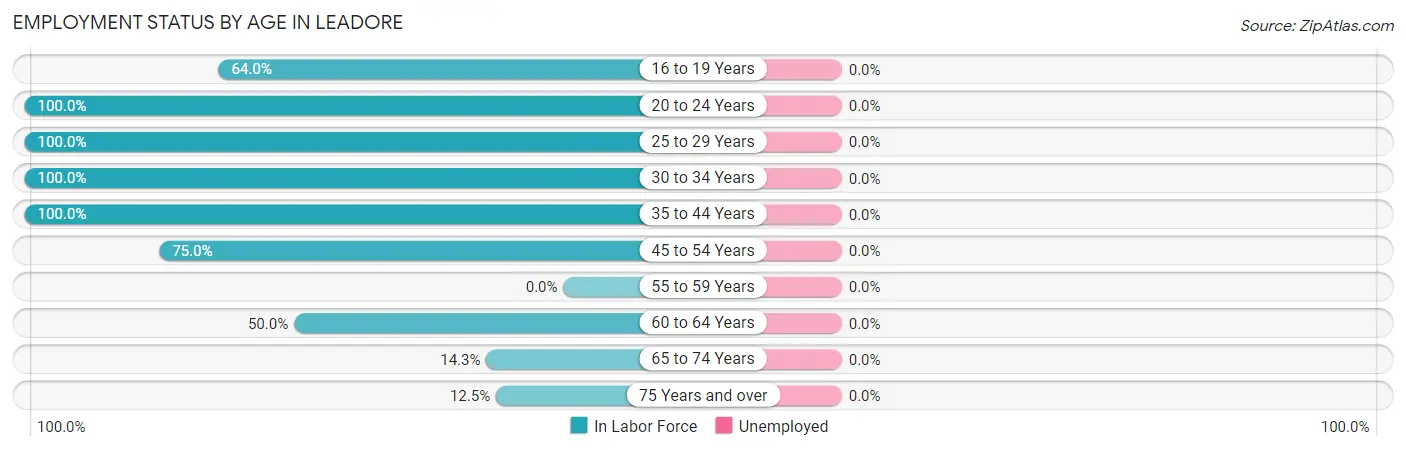 Employment Status by Age in Leadore