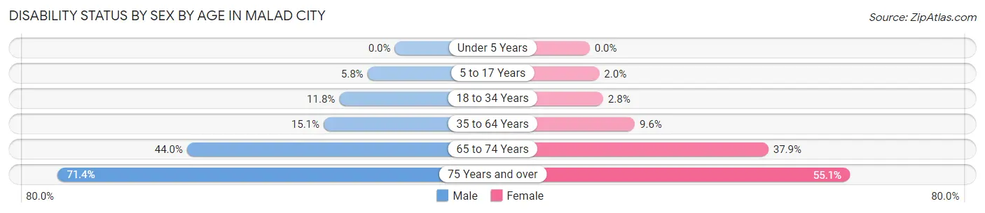 Disability Status by Sex by Age in Malad City