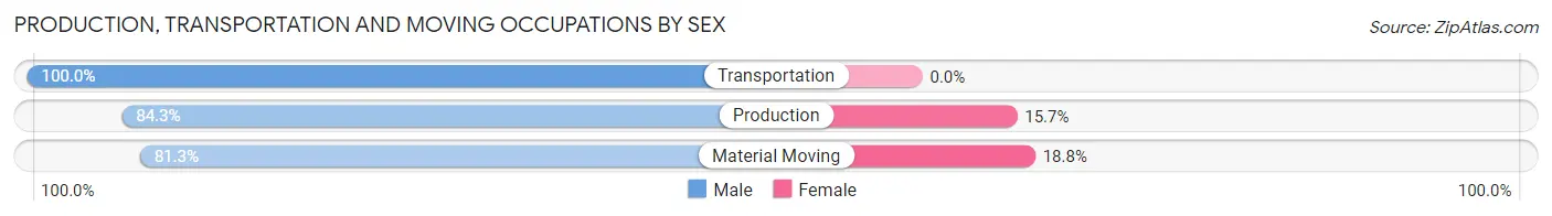 Production, Transportation and Moving Occupations by Sex in Malad City