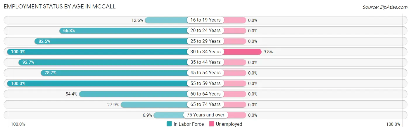 Employment Status by Age in Mccall