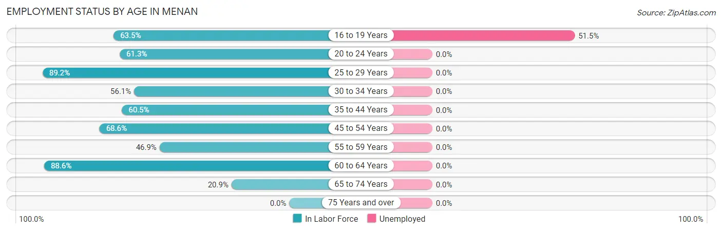Employment Status by Age in Menan