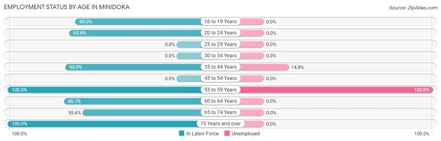 Employment Status by Age in Minidoka