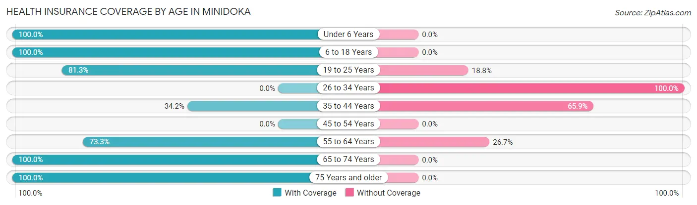 Health Insurance Coverage by Age in Minidoka