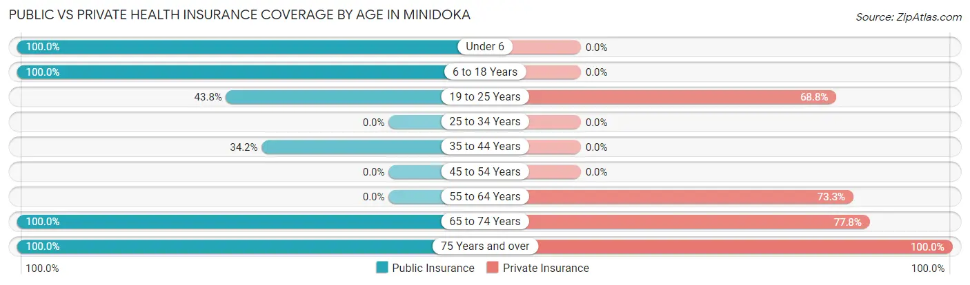 Public vs Private Health Insurance Coverage by Age in Minidoka