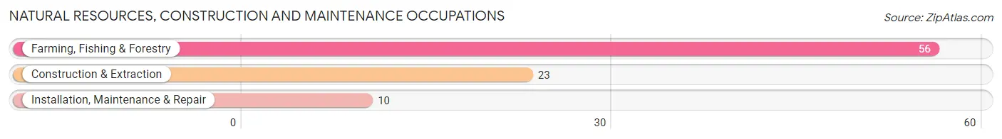 Natural Resources, Construction and Maintenance Occupations in Moreland