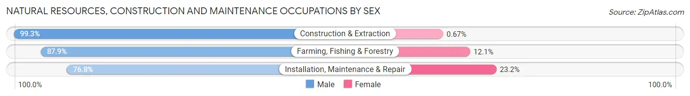 Natural Resources, Construction and Maintenance Occupations by Sex in Moscow